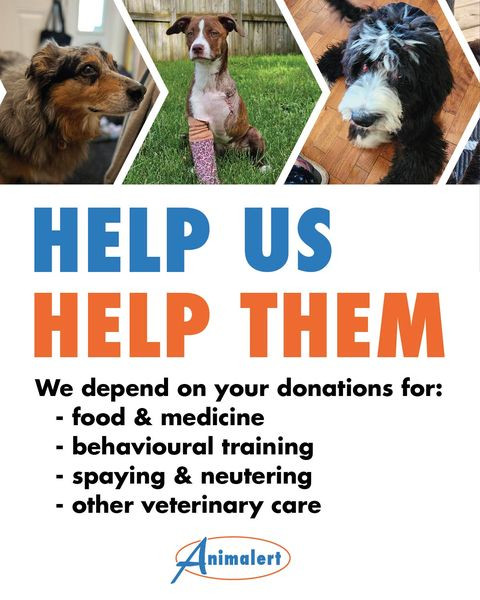 Help-us-Help-them