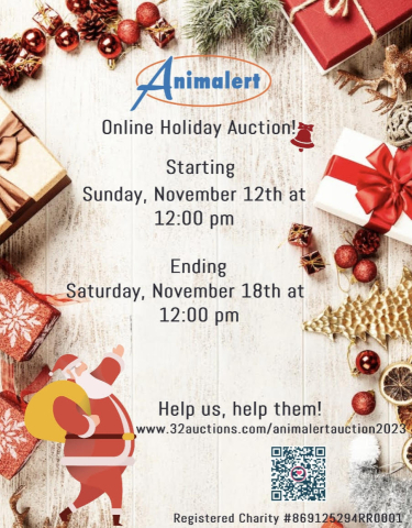 online-auction